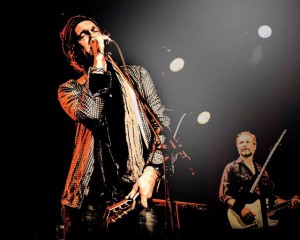 Foto Wolf Maahn live